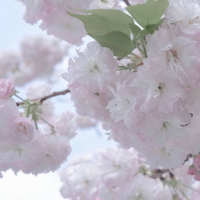 兽设家庭场景设计兽圈社群